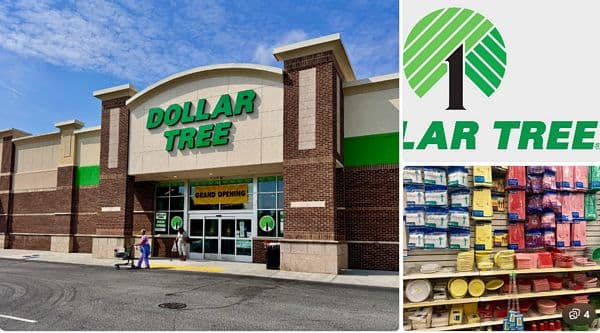 Dollar Tree là gì? Mô hình bán lẻ siêu rẻ của Mỹ và “nhiệt kế” sức mua người tiêu dùng
