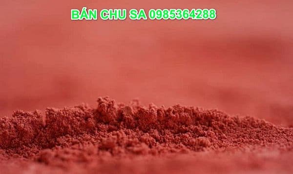 Chu sa có tác dụng gì? Công dụng, liều dùng và những lưu ý quan trọng khi sử dụng trong Đông y
