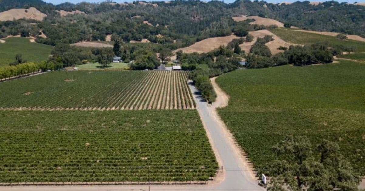 Nhà máy rượu vang lâu đời nhất California phá sản sau 168 năm: Áp lực nào đang đè nặng ngành rượu vang?