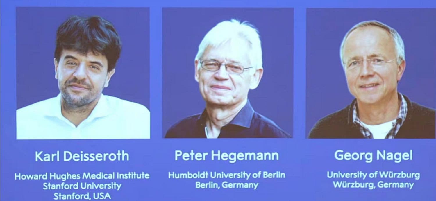 Nobel Sinh lý học hoặc Y học 2026: Dùng ánh sáng “bật tắt” tế bào thần kinh, mở ra cách hiểu mới về trí nhớ và bệnh Parkinson