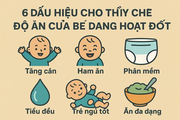 6 Dấu hiệu cho thấy chế độ ăn của bé đang hoạt động tốt