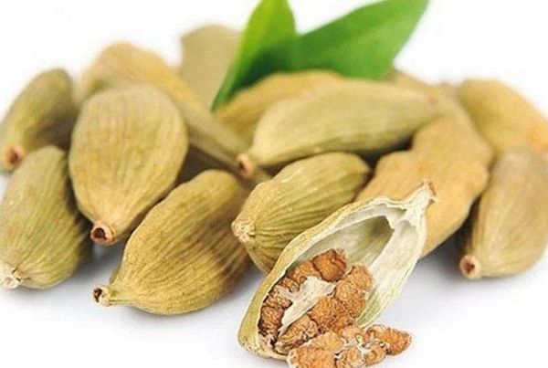 Bạch đậu khấu – Thảo dược làm ấm dạ dày, hành khí và cầm nôn hiệu quả trong Đông y