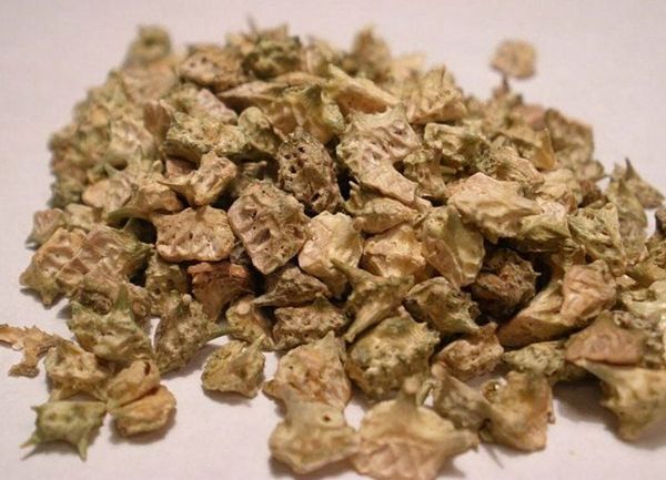 Bạch tật lê: Vị thuốc quý giúp bổ thận, tráng dương và tăng cường sinh lực nam giới