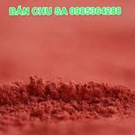 Chu sa có tác dụng gì? Công dụng, liều dùng và những lưu ý quan trọng khi sử dụng trong Đông y