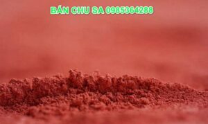 Chu sa có tác dụng gì? Công dụng, liều dùng và những lưu ý quan trọng khi sử dụng trong Đông y