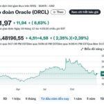 Oracle và nỗi lo bong bóng AI: Khi kỳ vọng va chạm rủi ro tài chính