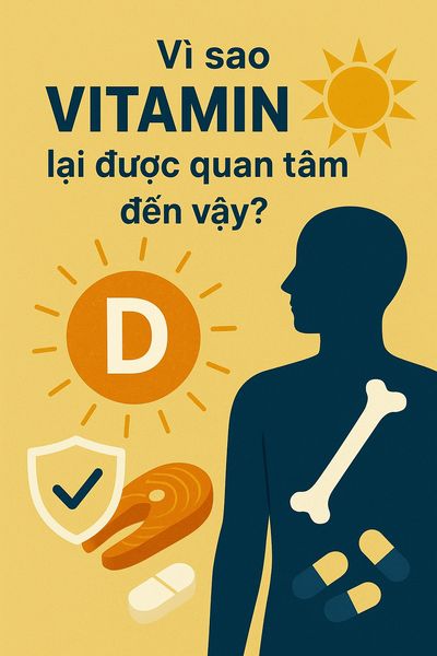 Vì sao vitamin D lại được quan tâm đến vậy? Vì sao vitamin D lại được quan tâm đến vậy?