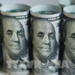 Cảnh Báo “Vàng” Từ Tín Dụng Tư Nhân: Rạn Nứt Lộ Diện, Các Ông Lớn Tài Chính Đứng Trước Áp Lực Mới