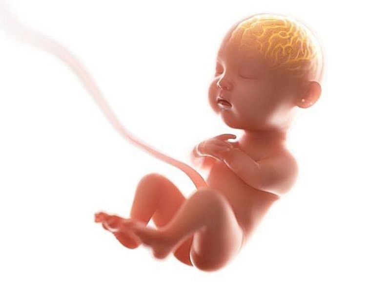 6 cách giúp trẻ phát triển vỏ não trước trán toàn diện: Góc nhìn khoa học từ Đại học Fudan
