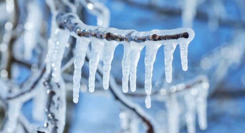 Arbitrum đóng băng 71 triệu USD tài sản: Phi tập trung thật sự hay chỉ là “quyền lực có điều kiện”?