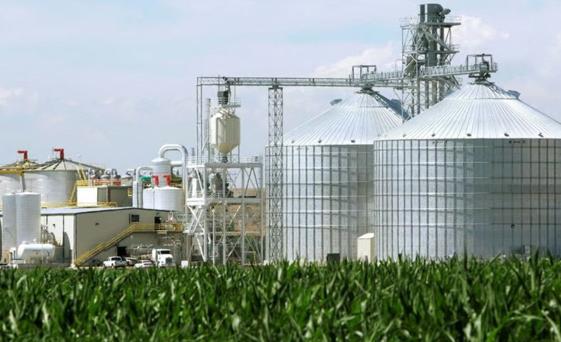 Nhiên liệu sinh học hồi sinh giữa khủng hoảng dầu mỏ: Cơ hội mới hay vòng xoáy lương thực – năng lượng?