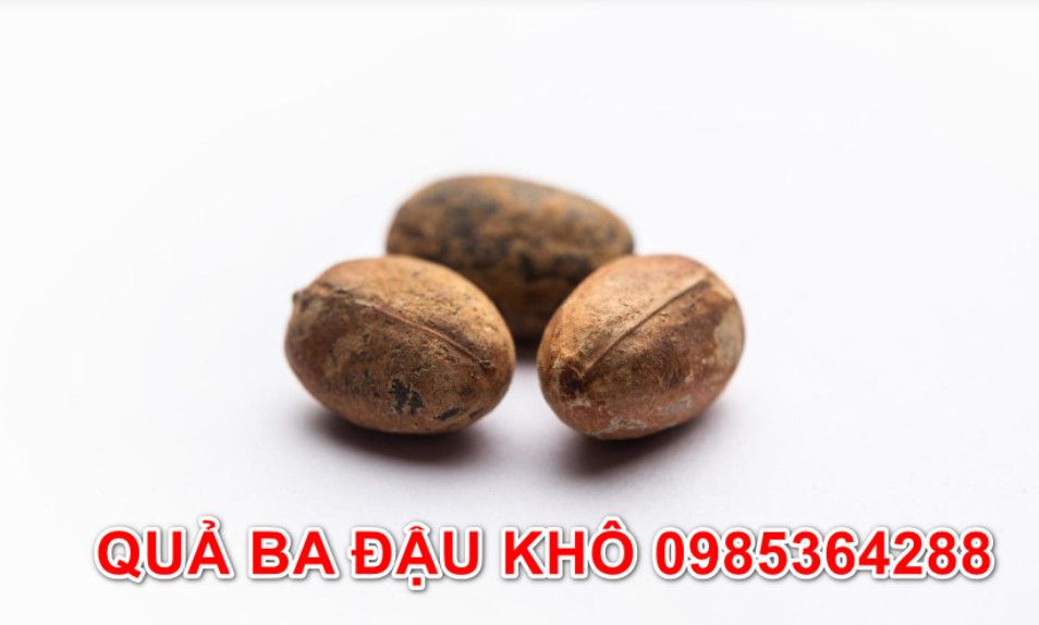 Quả ba đậu cực độc: Chuyên gia cảnh báo nguy cơ tử vong nếu ăn nhầm