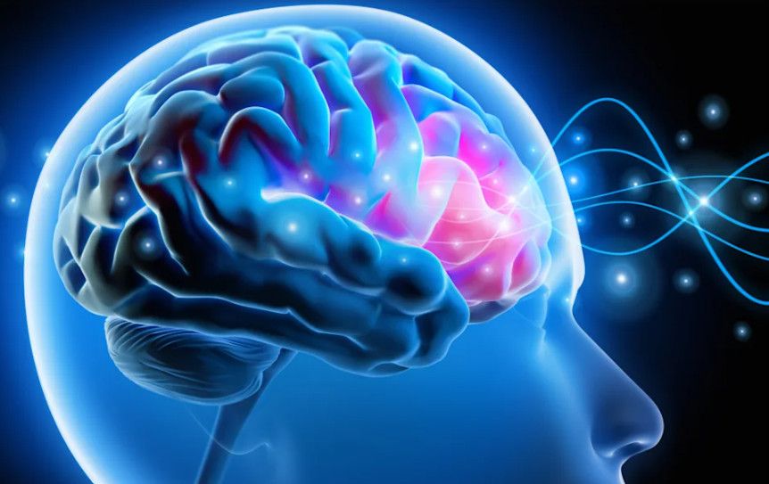 Thực phẩm siêu chế biến có thể liên quan đến lão hóa não nhanh hơn: Nghiên cứu mới cảnh báo điều gì?