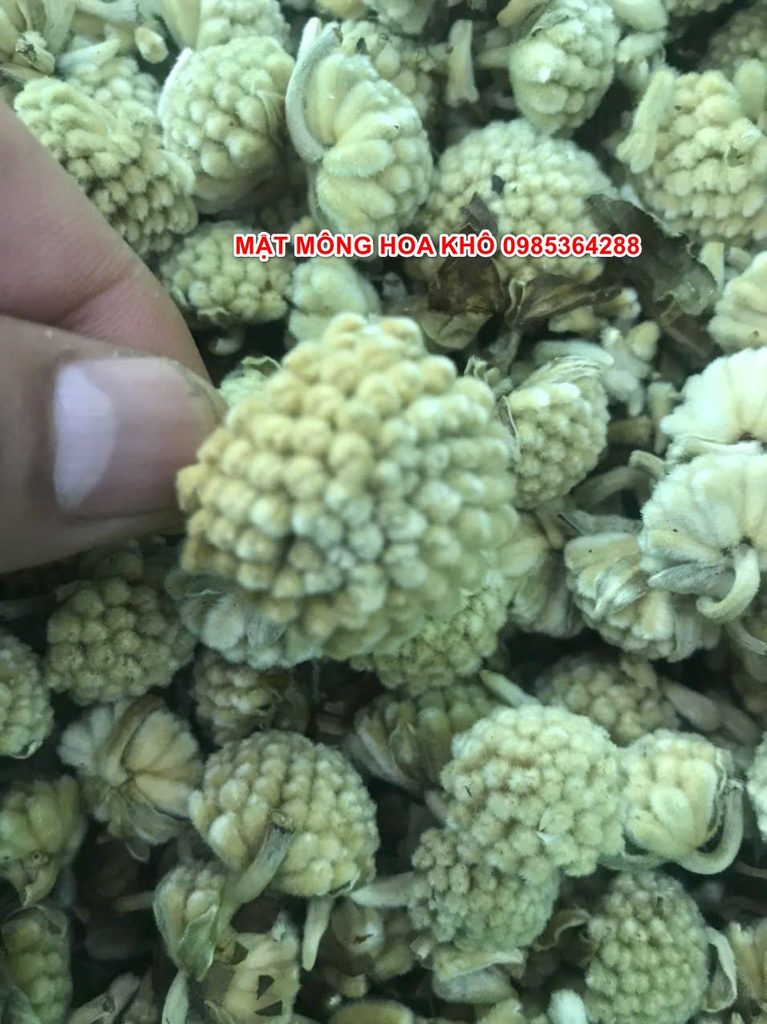 MẬT MÔNG HOA KHÔ - CUNG CẤP MẬT MÔNG HOA  KHÔ